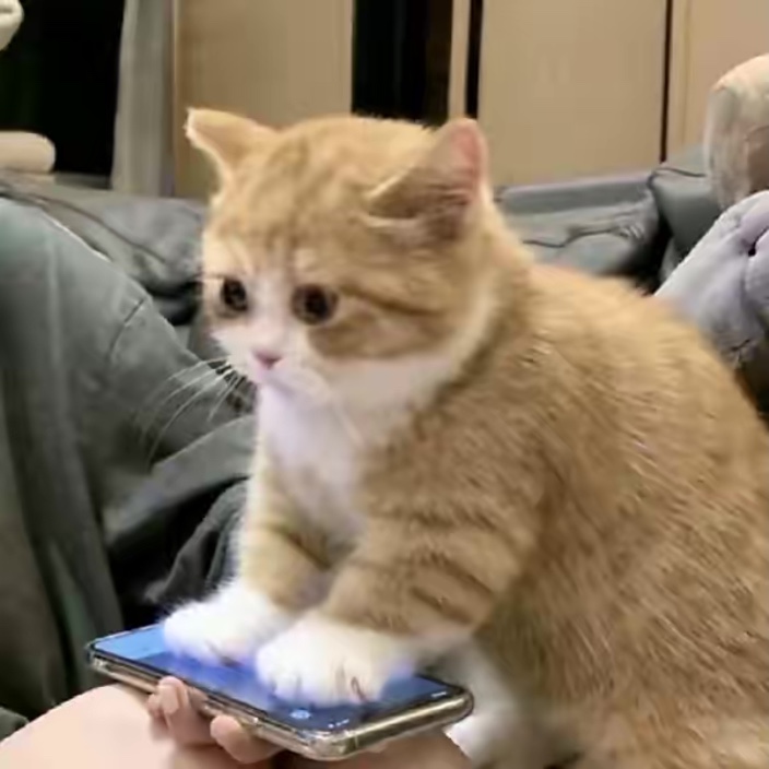 alalala.eth Ethereum Name Service (ENS and .eth domain) PFP