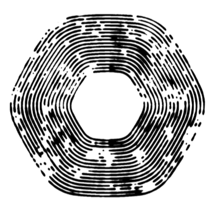 cambriancollective.eth Ethereum Name Service (ENS and .eth domain) PFP