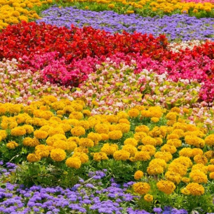 joy.linea.eth Linea Name Service (.linea.eth domains) based on ENS PFP