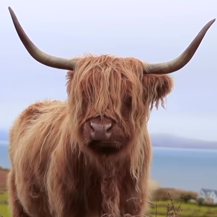 superic.eth Ethereum Name Service (ENS and .eth domain) PFP