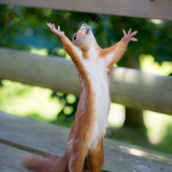 tati (tati98.lens) Lens social identity (.lens handle) PFP