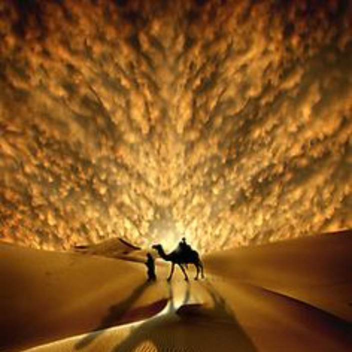 thanhhuy.eth Ethereum Name Service (ENS and .eth domain) PFP