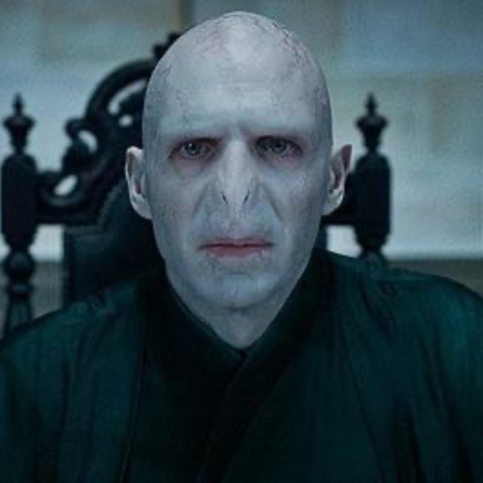 Voldemort (vo1demort.eth) Profile Photo